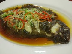 -小叶大馅饺子城