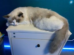 -零纪元VR体验馆·桌游(黄浦店)