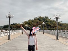 -野狸岛