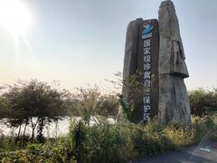 -盐城丹顶鹤湿地生态旅游区