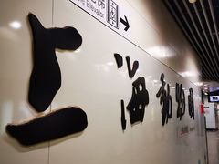 -上海动物园(地铁站)