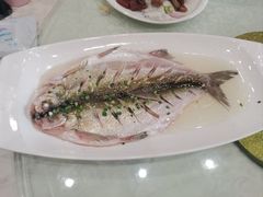 -大鸿运酒店·苏州菜·松鼠桂鱼(观前街店)