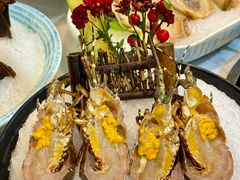 -喜聚薈·花膠雞海鮮火鍋(越秀店)