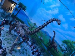 -辽宁古生物博物馆