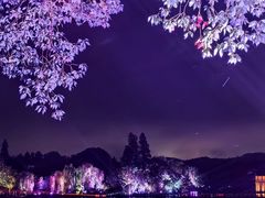 -印象西湖·最忆是杭州实景演出