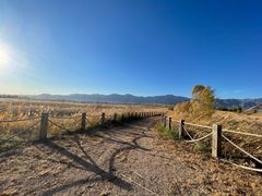-野鸭湖国家湿地公园