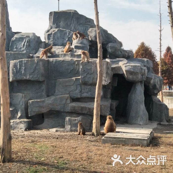 溱湖野生动物园图片-北京动物园-大众点评网