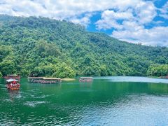 -鼎湖山风景区
