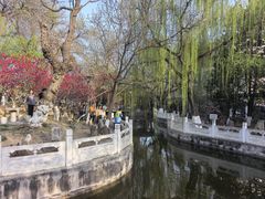 -桃花堤公园