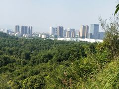 -聚龙山公园