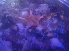 -千岛蚝高压锅生蚝·人参火锅(白云万达店)