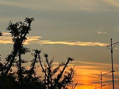 -上海佘山国家森林公园天马山园