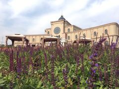 -丹世红酒庄·烧烤·团建·婚礼·水上运动