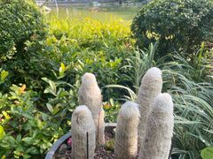 -云溪植物园