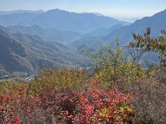 -大岭沟猕猴桃谷风景区