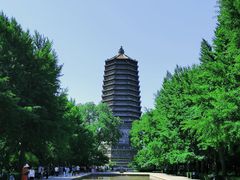 -玲珑塔公园