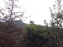 -方岩风景区