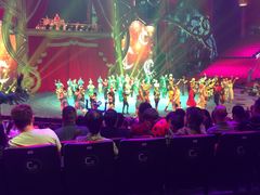 -珠海横琴长隆《卡卡虎奇遇记》