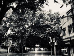 -牛朋牛奶棚(南昌路店)