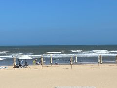 -日照海滨国家森林公园