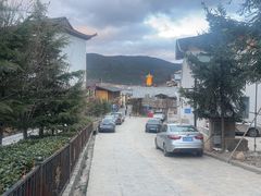 -藏味八珍特色火锅