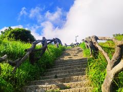 -梧桐山风景名胜区