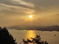 -浔味·山屿湖·正宗全鱼宴老字号