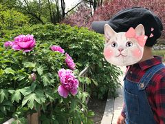 -迎泽公园