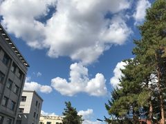 -中国科学院长春应用化学研究所(海航紫荆花饭店西北)