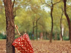 -南宁市凤岭儿童公园