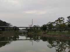 -王借岗森林公园