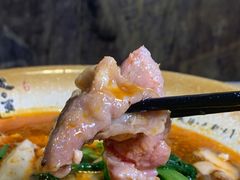 -芙蓉树下冒菜·麻辣烫(农院店)