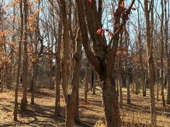 -长春市南湖公园