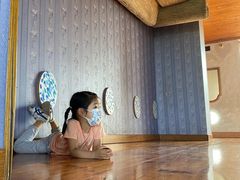 -金山农民画村-枫泾波兰倒置屋