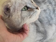 -宠颐生动物医院·心脏科·保险定点(锦阳分院)