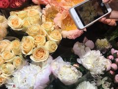 -双季花艺园艺市场(浦东店)