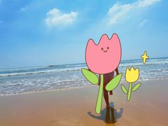 -日照海滨国家森林公园