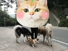 -火炉山森林公园