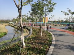 -上海长兴岛郊野公园