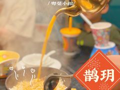 浓虾汤泡饭-鹊玥·粤菜小馆(汇智国际商业中心店)