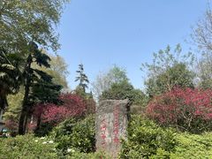 -洛阳市牡丹公园