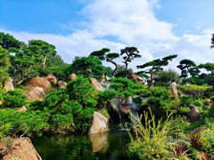 -罗红摄影艺术馆