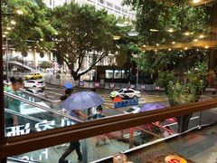-朱氏胖子烂火锅(洪崖洞店)