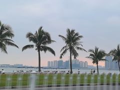 -金悦轩海鲜酒家(拱北店)