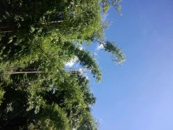 android_upload_pic-戛纳印象摄影(潮拍定制馆)