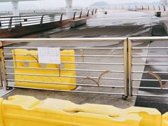 -演武大桥观景平台