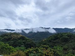 -广州市石门国家森林公园