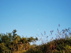 -田心森林公园