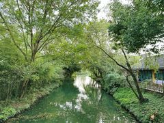 -西溪国家湿地公园