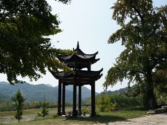 -千年银杏谷文化旅游区